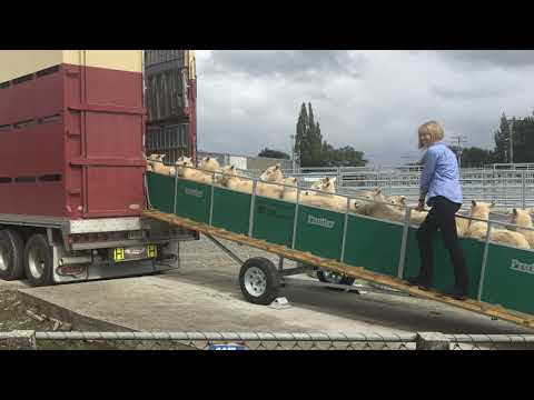 2018 NZ Outstanding Contribution to Rural Sports Jude McNab